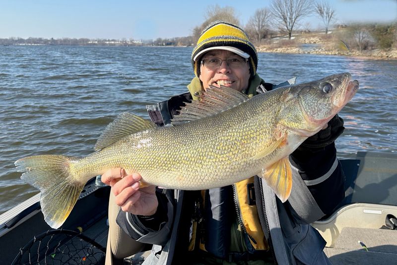 Walleye