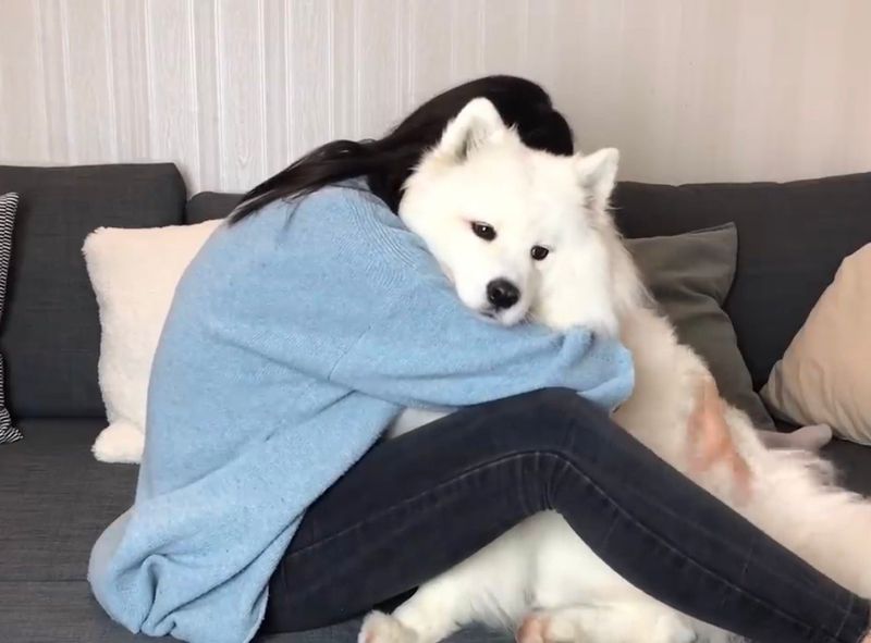 Warm Cuddles