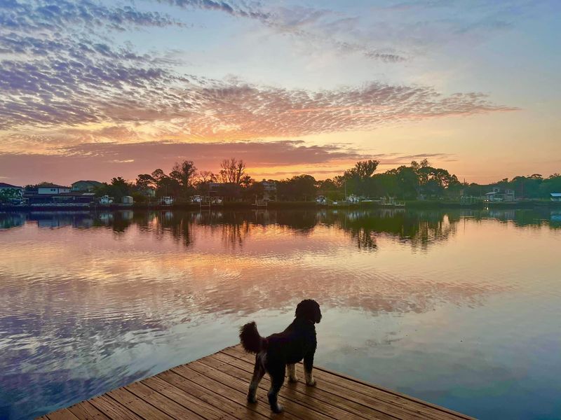 Watching the Sunrise
