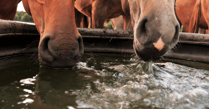 Water Troughs
