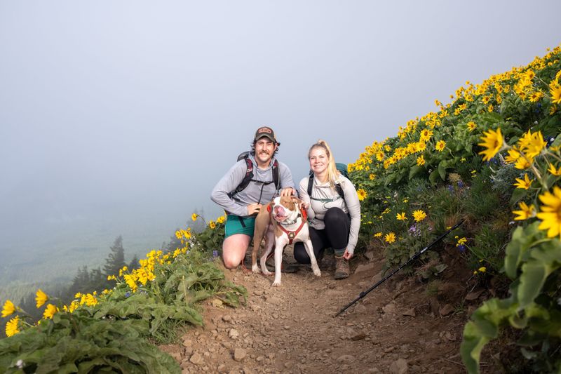 Weekend Hiking Adventures