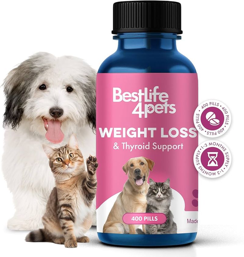 Weight Loss Supplements