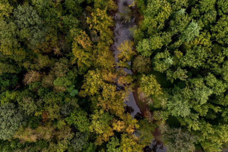 West Virginia