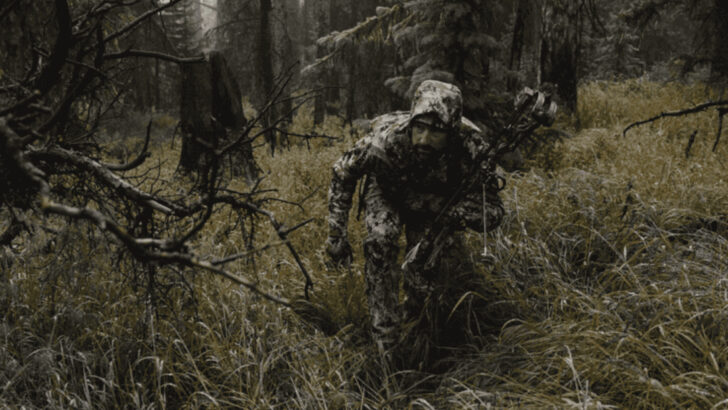 What Those Elk Hunting Shows Don’t Tell You: Real-World Strategies That Actually Work