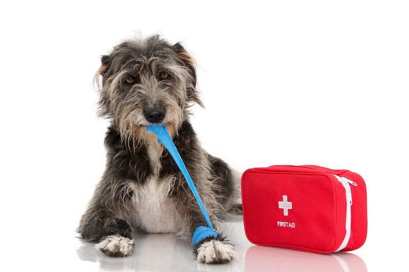 What should I do in an emergency?