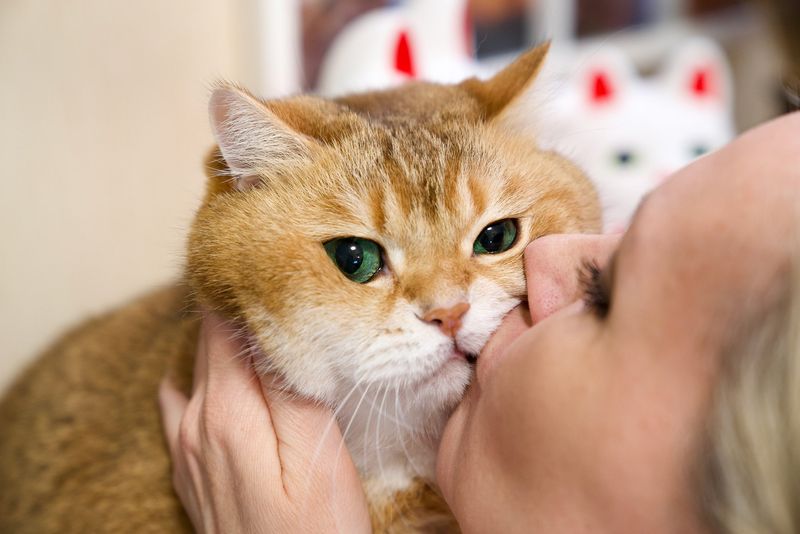 Whisker Kisses