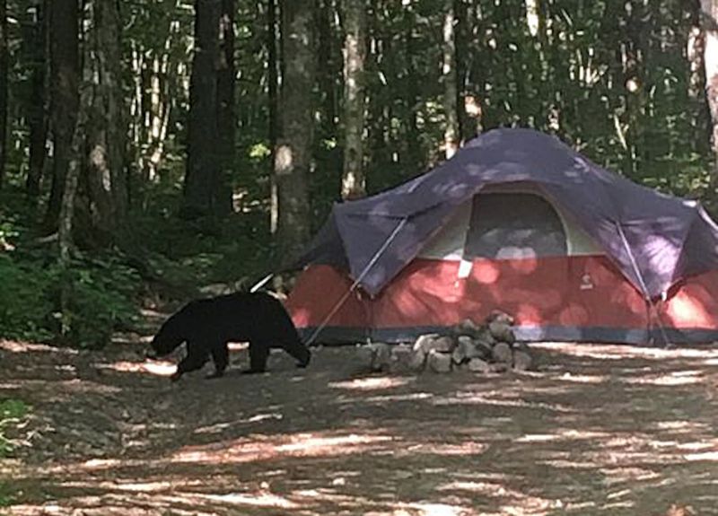 White Mountain National Forest, New Hampshire