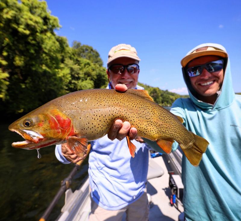 White River, Arkansas