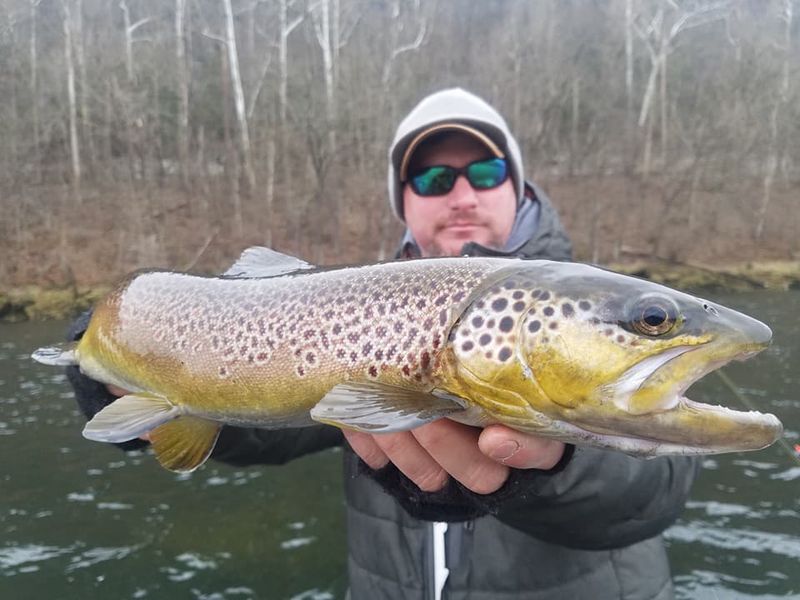 White River, Arkansas