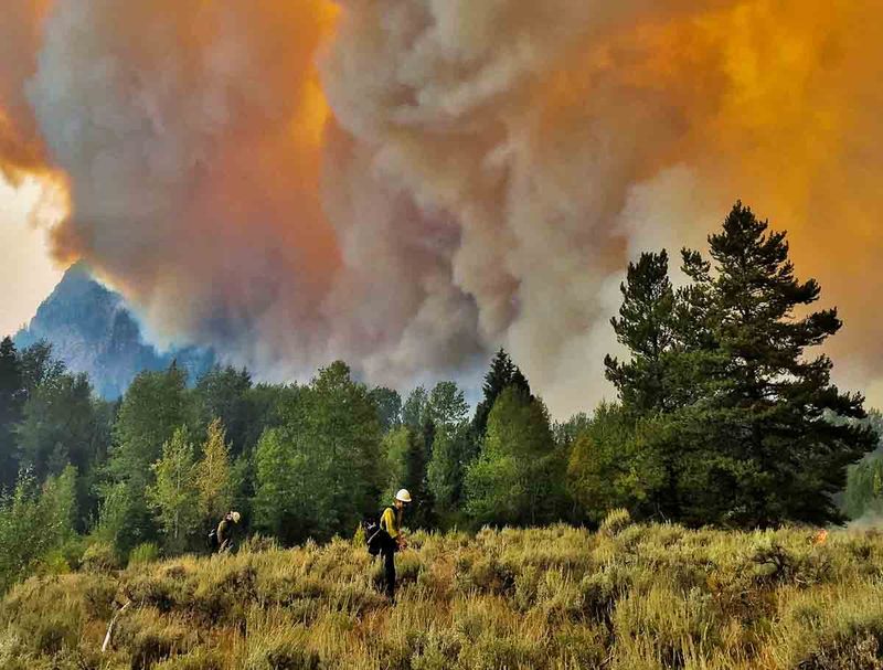 Wildfires