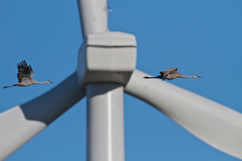Wind Farms