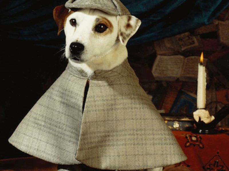 Wishbone