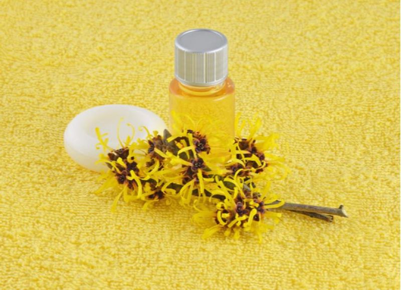 Witch Hazel