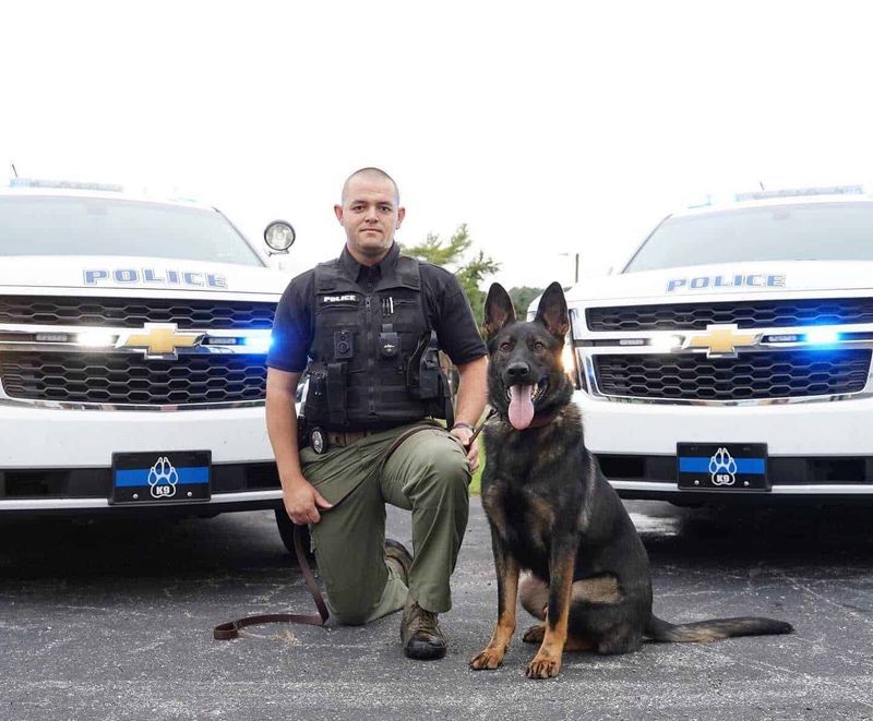 Working Dog Programs