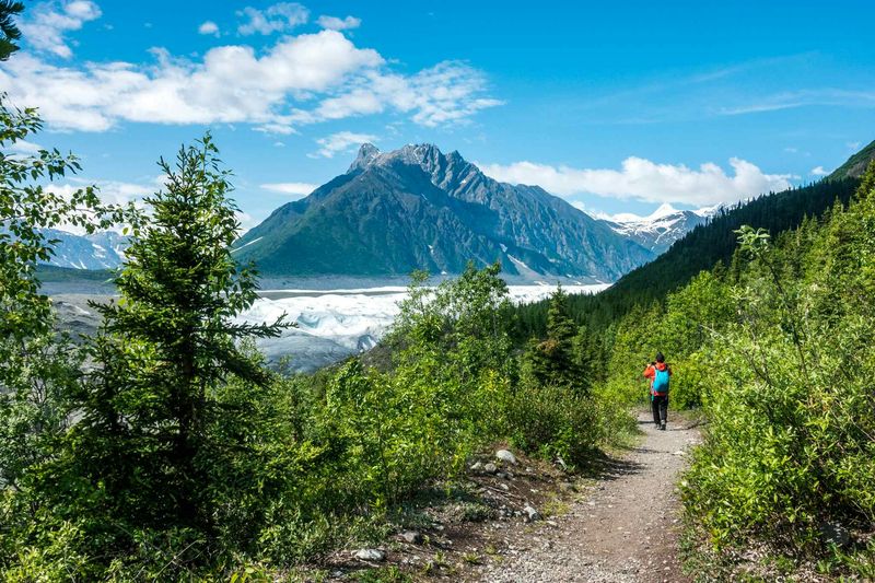 Wrangell-St. Elias National Park - Nabesna Road Trail