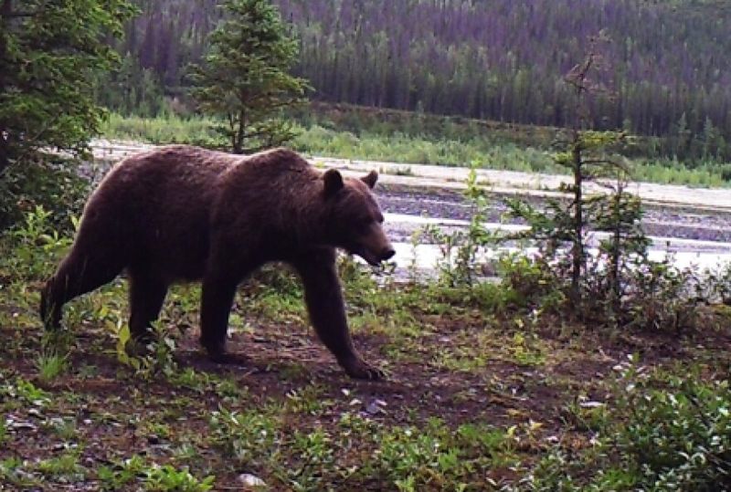 Wrangell-St. Elias National Park & Preserve