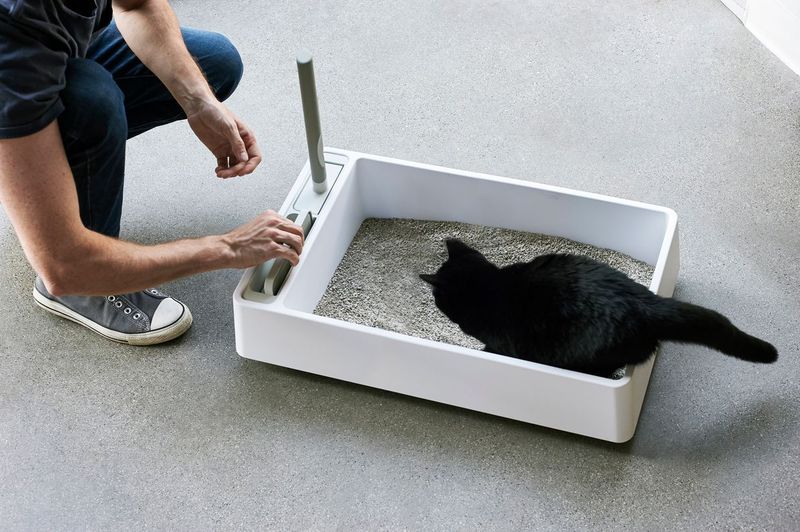 Wrong Litter Type