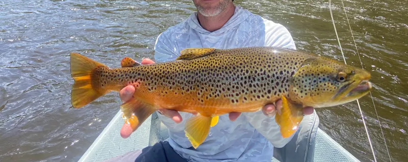 Yampa River, Colorado