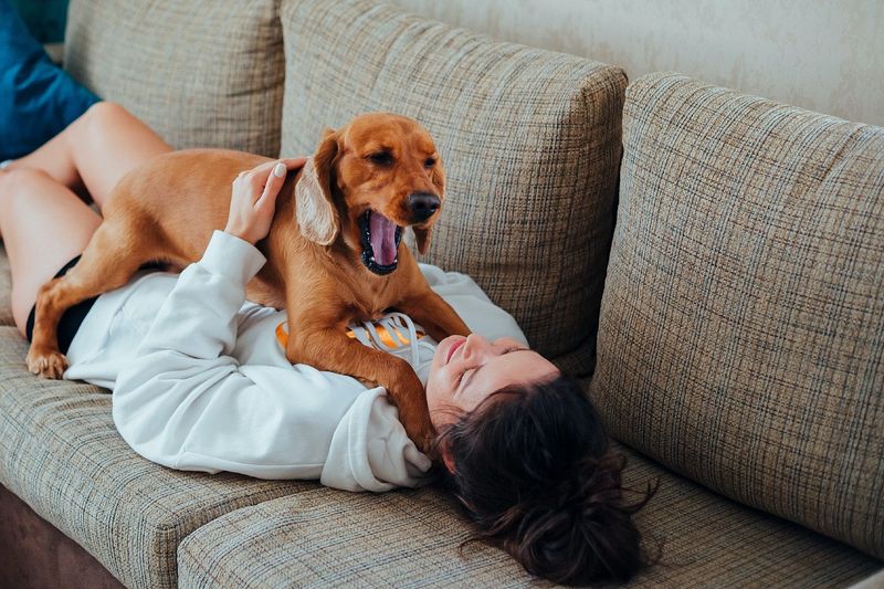 Yawning With You