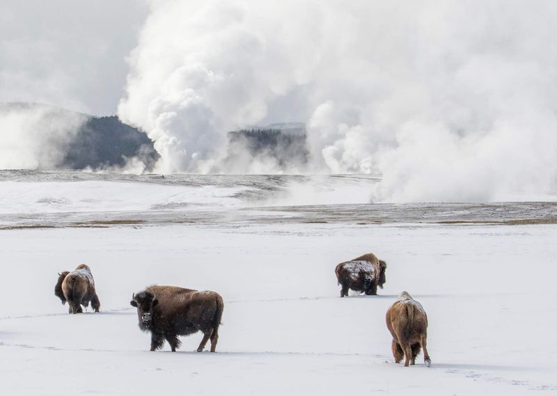 Yellowstone National Park