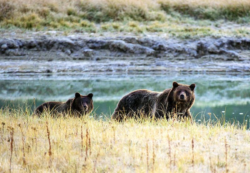 Yellowstone National Park