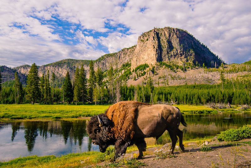 Yellowstone National Park, Wyoming