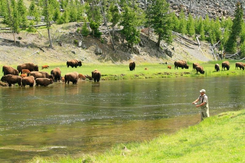 Yellowstone River, Wyoming