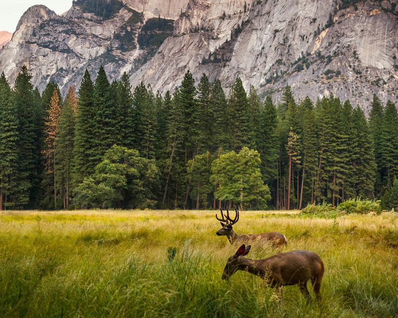 Yosemite National Park, California