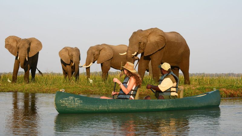 Zambezi Canoe Safari