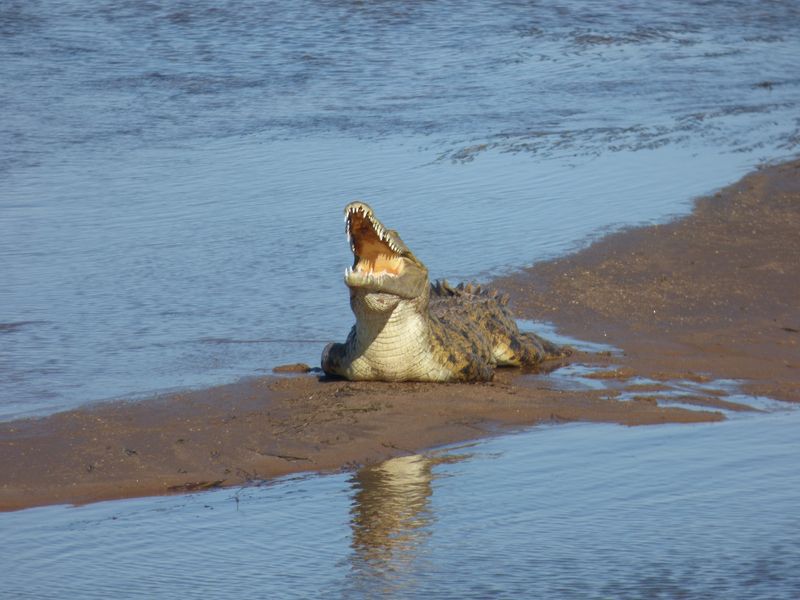 Zambezi River, Zimbabwe/Zambia