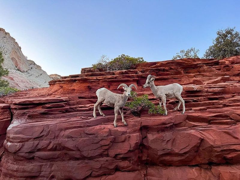 Zion National Park, Utah