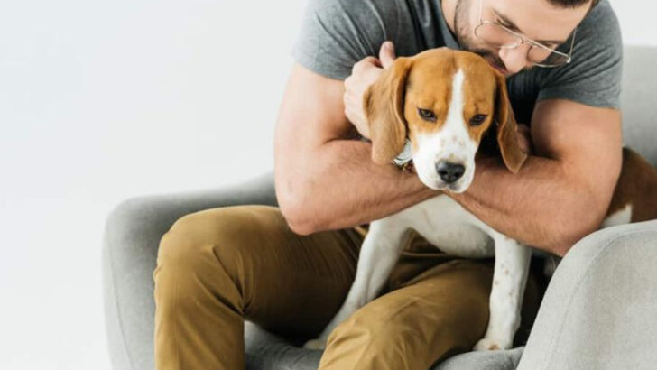 8 ‘Bonding’ Activities Veterinary Behaviorists Say Actually Stress Your Dog (And 8 That Build Trust)