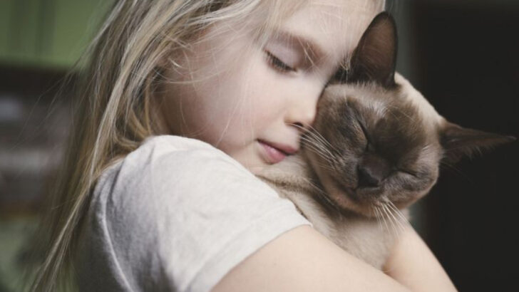 10 Cat Breeds That Are Perfect for Families (And 10 That Prefer a Quiet Solo Home)