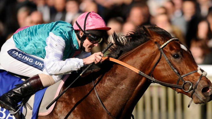 Think Horses Are Just Pretty Animals? These 15 Sold for Over $1 Million Each