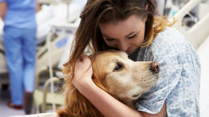 22 Dog Breeds That Sense Human Sadness Better Than Trained Therapy Animals