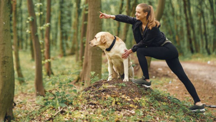13 Dog Training Methods That Fail With Sensitive Dogs (And 7 That Work Every Time)