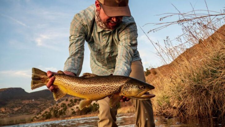 fly-fishing-streams-that-hold-the-biggest-wild-trout-youll-ever-hook