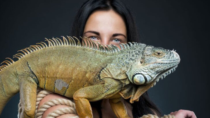 Forget These 10 “Easy” Pets That Are Actually a Ton of Work (Here are 10 Better Options)