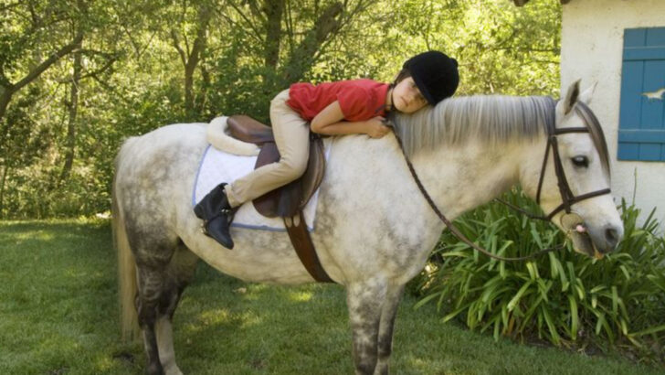 horse-breeds-that-bond-instantly-with-children-and-that-should-never-be-around-kids