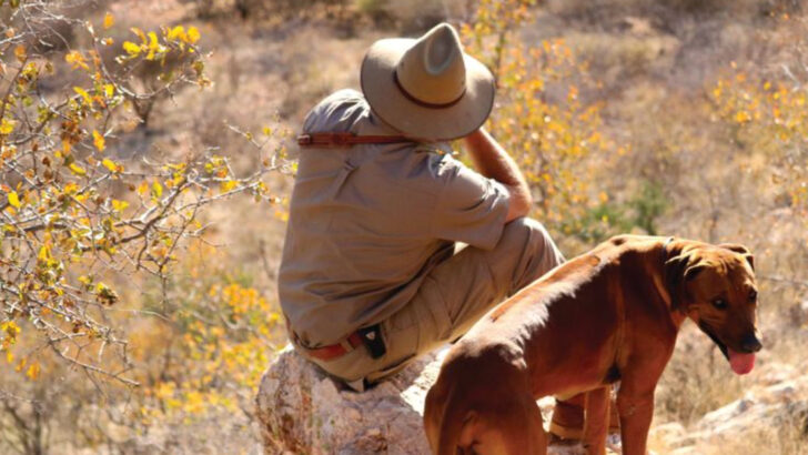 hunting-dog-breeds-that-dont-live-up-to-the-hype