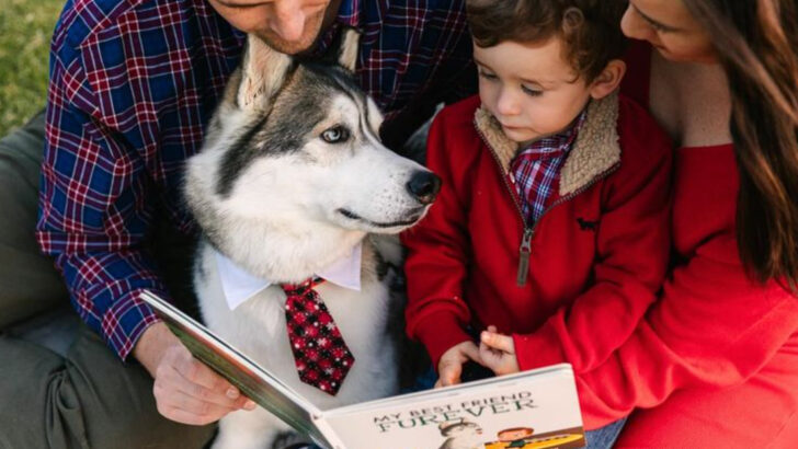 15 Low-Maintenance Dog Breeds for Busy Parents With Young Kids (And 10 That Need Too Much Attention)