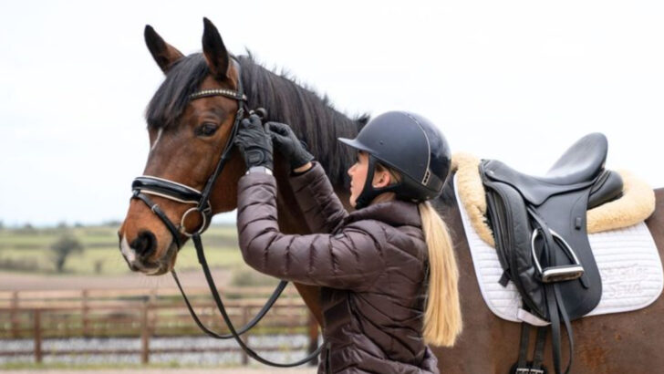 must-know-tips-for-taking-your-horse-on-a-long-trail-ride