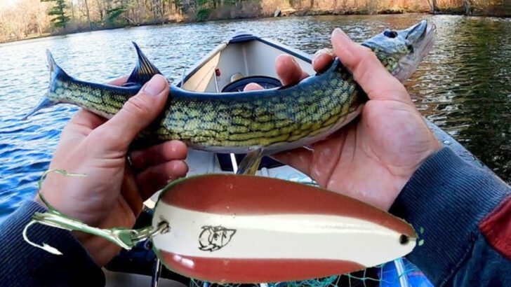 13 Northern Pike Lures That Never Let You Down (Even When Live Bait Fails)