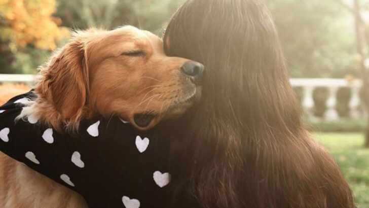 15 Signs Your Dog Has Above-Average Emotional Intelligence (According to Canine Behaviorists)