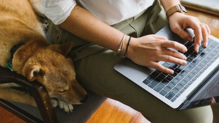 14 Types of People Who Probably Shouldn’t Own a Dog