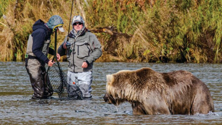 14 Unbelievable Bear Encounters Captured This Spring