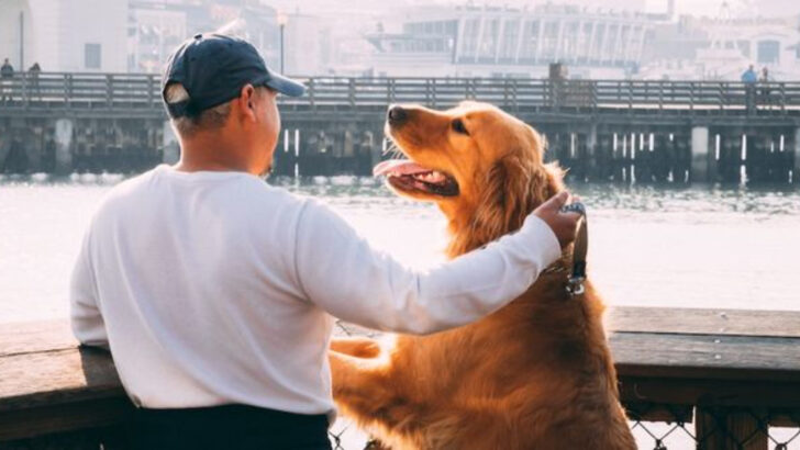 ways-dogs-help-you-stay-young-and-reasons-theyre-a-handful