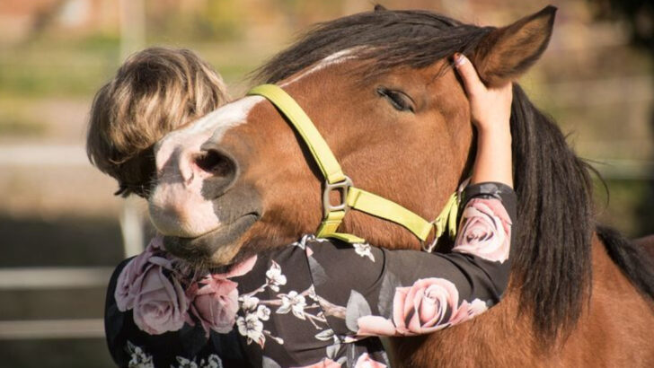 ways-horses-show-theyre-your-soulmate-beyond-the-saddle