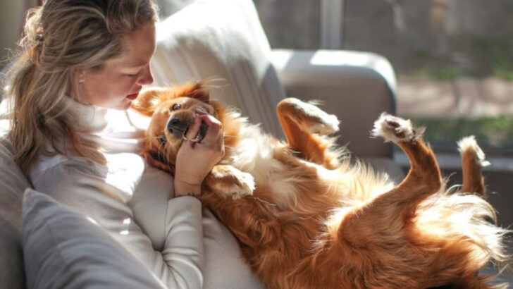 15 Ways to Tell If Your Dog Truly Loves You