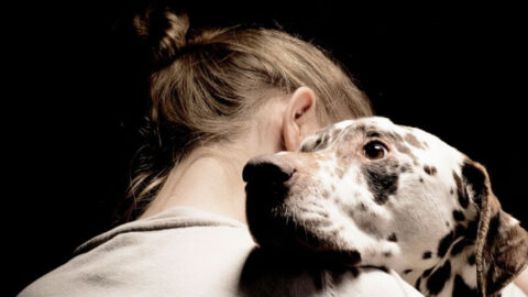 17 Ways You Should Never Comfort a Grieving Pet (Unless You Want to